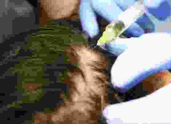 Vetraco Medical